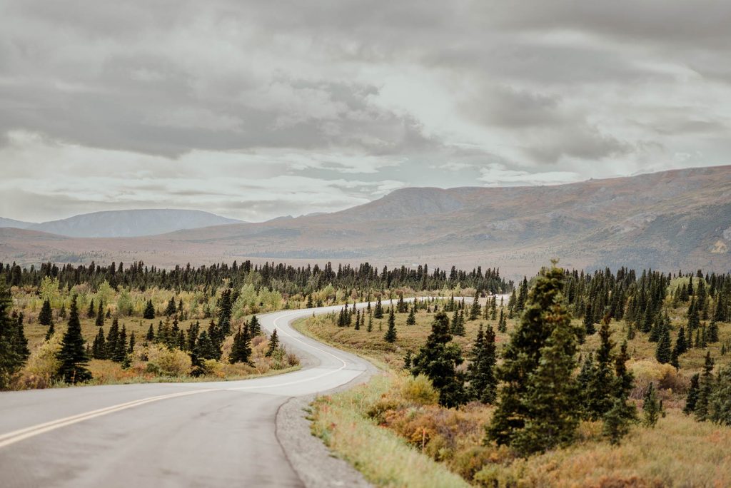 A road going through nature landscape