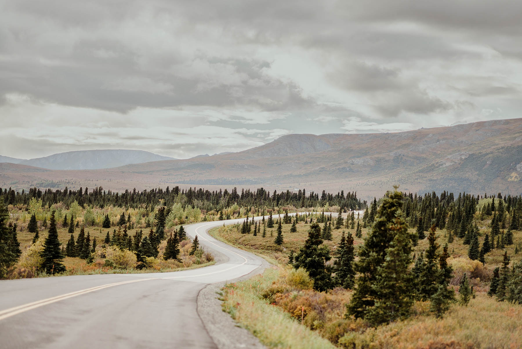 A road going through nature landscape